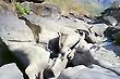 Moon Valley (Vale da Lua), Chapada dos Veadeiros, Goias, Brazil