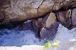 Canyon II, Chapada dos Veadeiros, Goias, Brazil