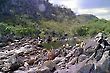 Chapada dos Veadeiros, Carioquinhas Waterfall, Goias, Brazil