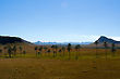 Maytrea's Garden - Veadeiros Tableland - Goias, Brazil