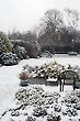 English Garden in the Winter