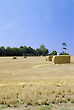 Hay Stack in the fields