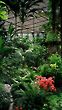 Inside Unheated Greenhouse in Lisbon, Portugal