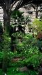 Inside Unheated Greenhouse in Lisbon, Portugal