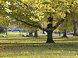 Hyde Park, Winter, London, England