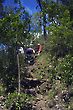 Trekking, going to Agua Fria Waterfall, Veadeiros Mesa, Goias, Brazil